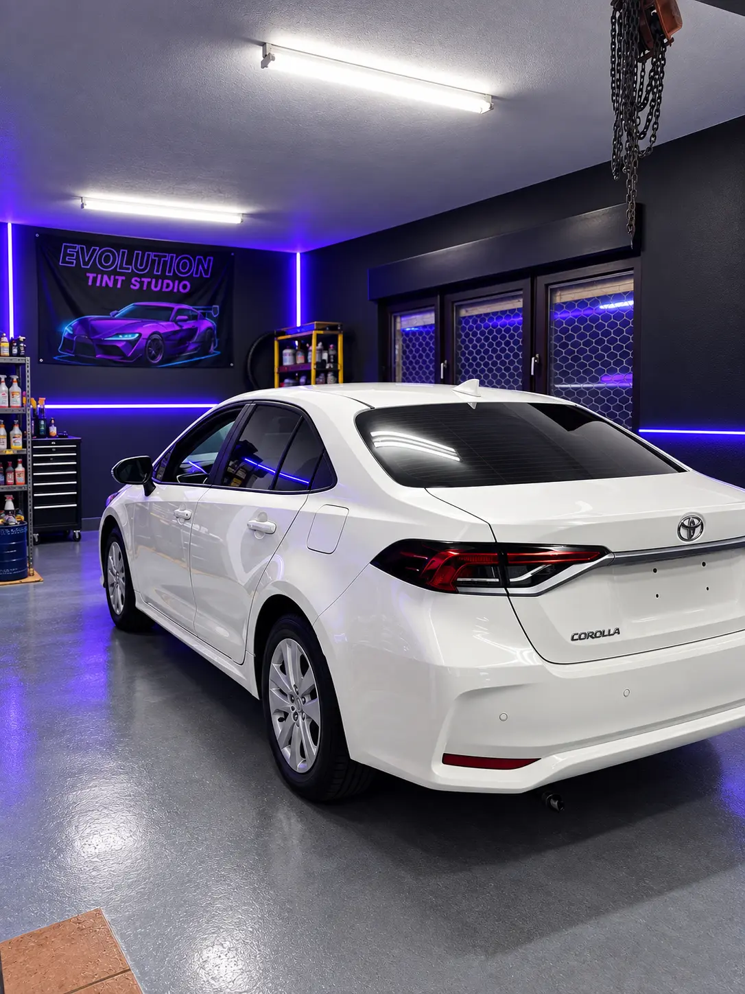 Evolution Tint Studio 9